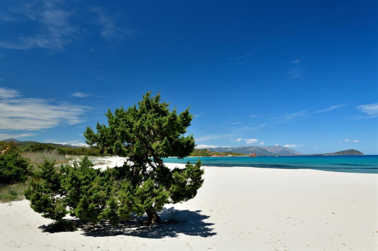 Casa Vacanze Il Mirto Bari Sardo Kültér fotó